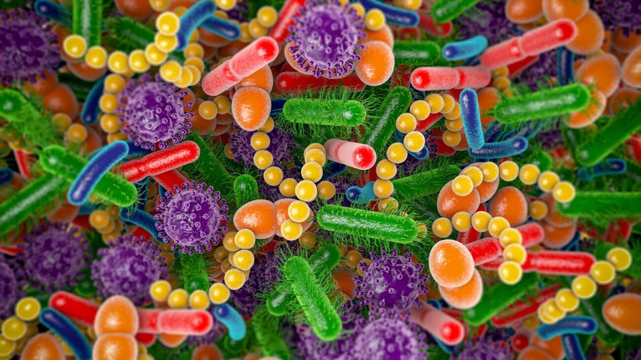Análisis Avanzado de Microbiota para un Bienestar Integral y Personalizado